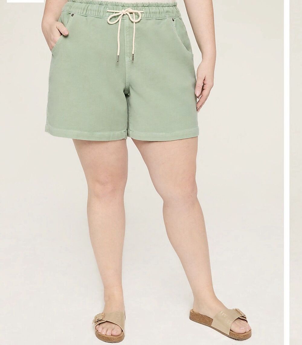 Lane Bryant Pull On Knit Denim Shorts 24 Sage Green High Rise 5.5" NWT 410672